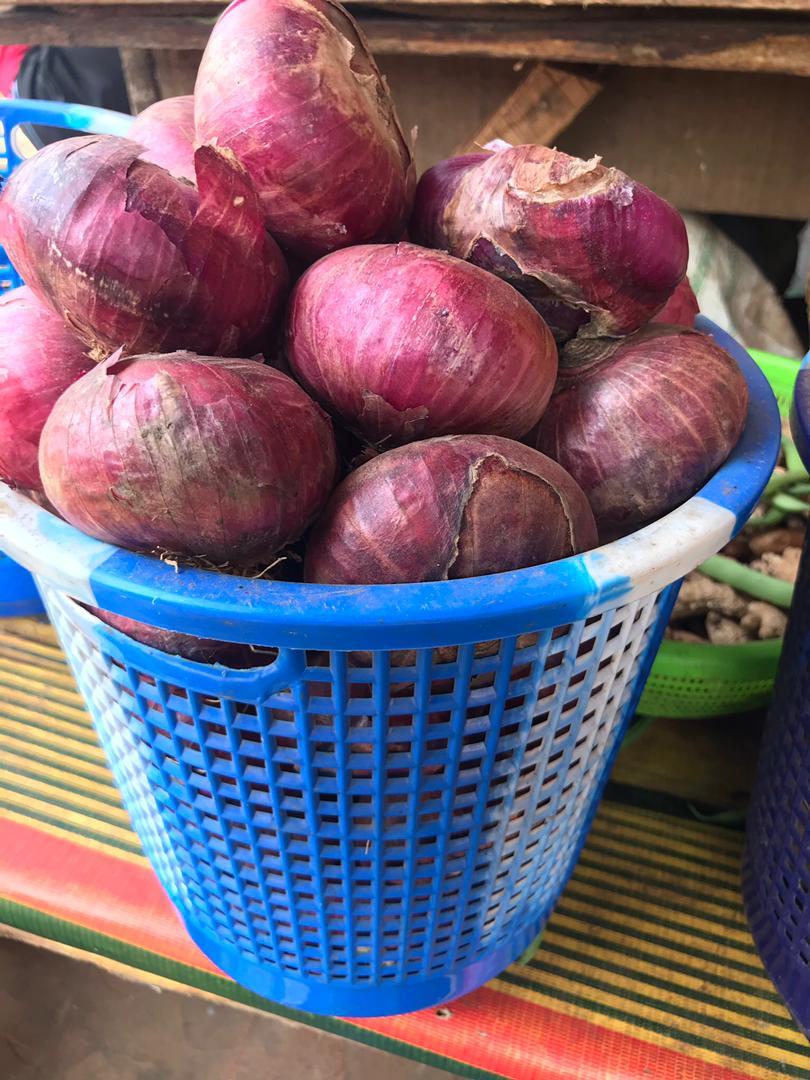 Onions-1 small basket