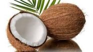 Coconut-1pcs
