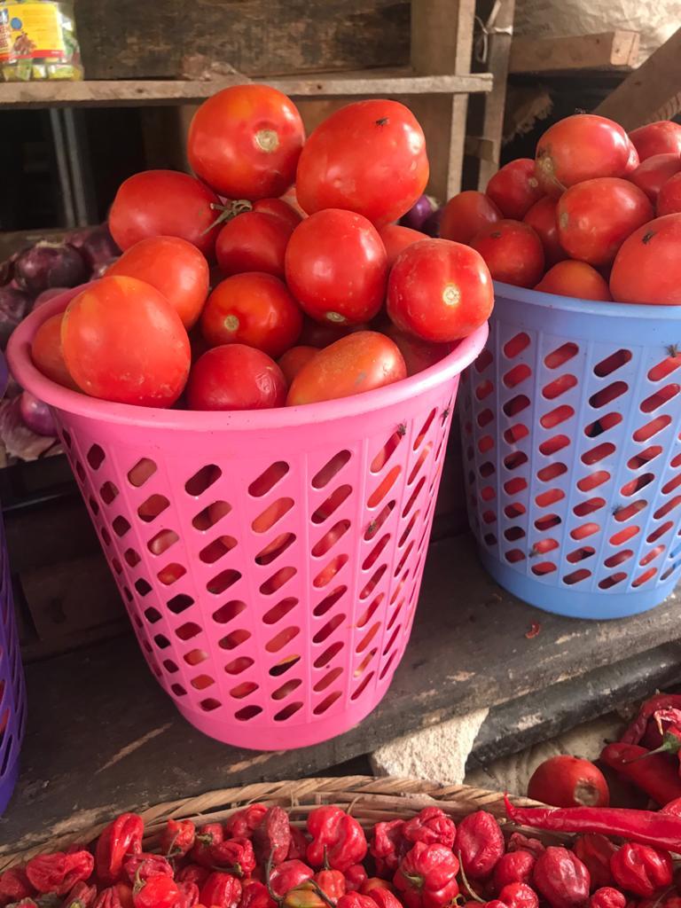 Fresh Tomatoes-small basket